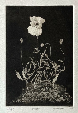 37: Poppy
Aquatint and Etching
25 of 30 2002 
15 x 10 cm
£50