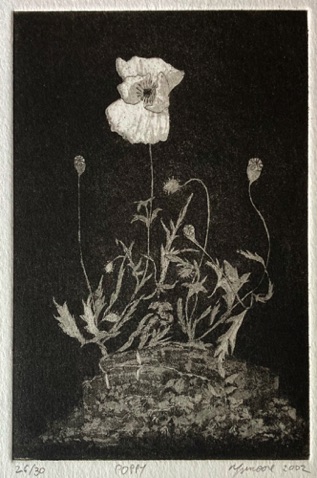 38: Poppy
Aquatint and Etching
26 of 30 2002 
15 x 10 cm
£50
