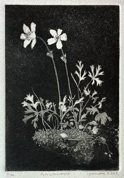 Anemones