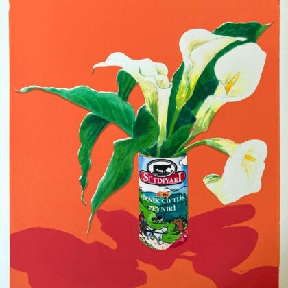 Piknik Lilies